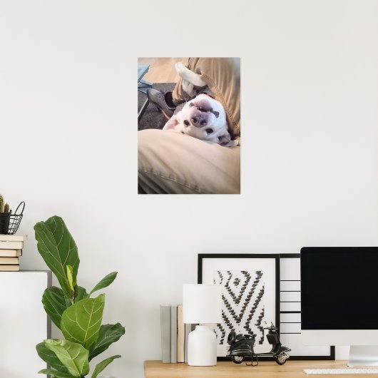 Funny Dog zal niet genegeerd worden Comical Photo Poster (Thuiskantoor)