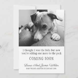 Funny Dog Zwangerschap Aankondiging