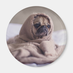 Funny doggy magneet