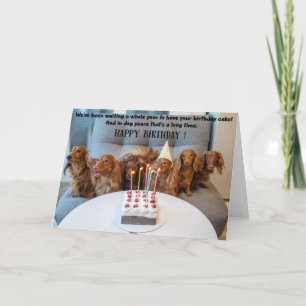 Funny Dogs Birthday Greeting Card  Kaart