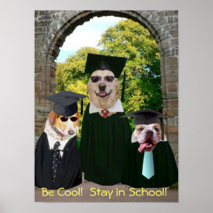 Funny Dogs Blijf op school in Poster