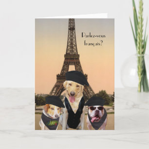 Funny Dogs French Birthday Kaart