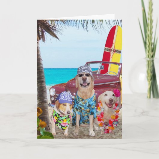 Funny Dogs Hawaiian / Surfer Verjaardag Kaart (Voorkant)