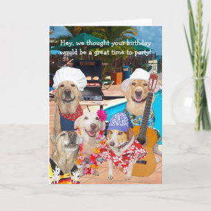  Funny Dogs / Labs bij Pool Birthday Bedankkaart