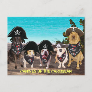 Funny Dogs praat als een piratendag Briefkaart