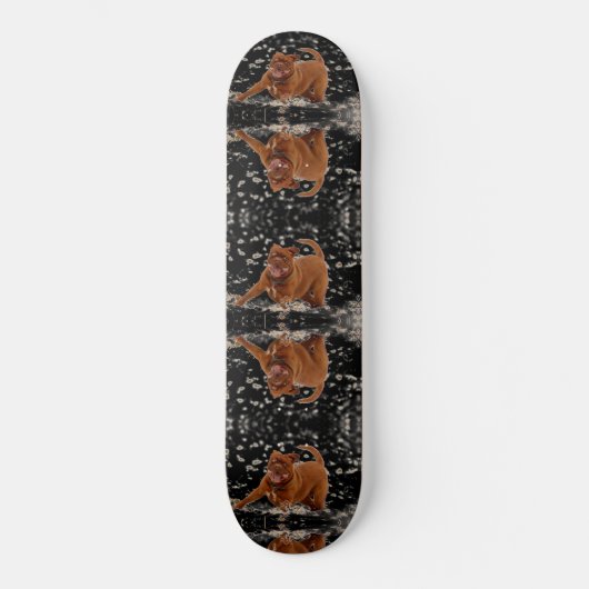 Funny Dogs Skateboard (Voorkant)