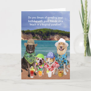 Funny Dogs Tropical Paradise Birthday Kaart