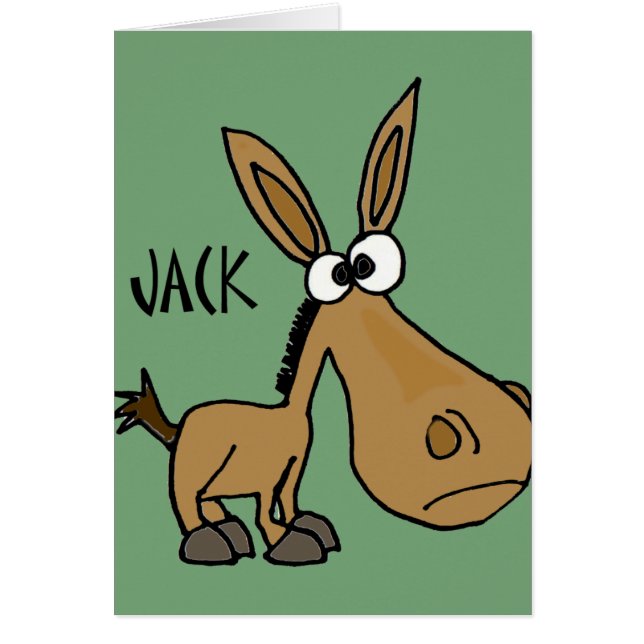 Funny Donkey genaamd Jack (Voorkant)