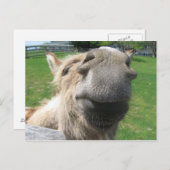 Funny Donkey sluit af Briefkaart (Voorkant / Achterkant)
