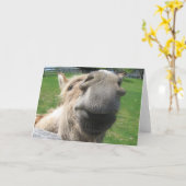 Funny Donkey sluit af Kaart (Gele Bloem)