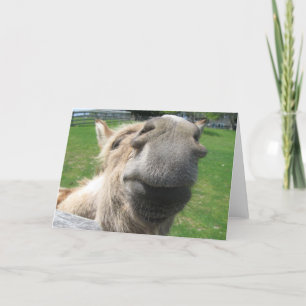 Funny Donkey sluit af Kaart