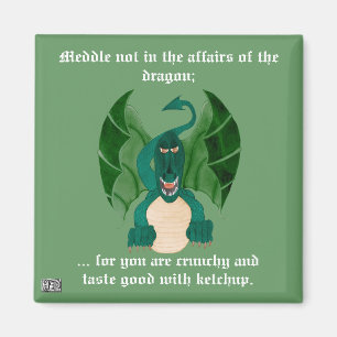 Funny Dragon Magnet Magneet
