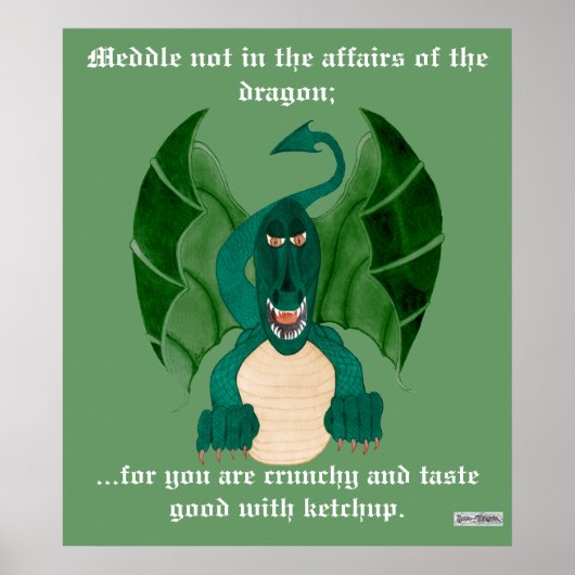 Funny Dragon Poster (Voorkant)