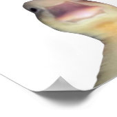 Funny Duck Meme – “Welcome to My Crib” Cute Animal Poster (Hoek)