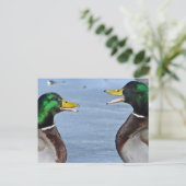 Funny Ducks Briefkaart (Staand voorkant)