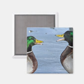 Funny Ducks Magneet (Voorkant / Achterkant)