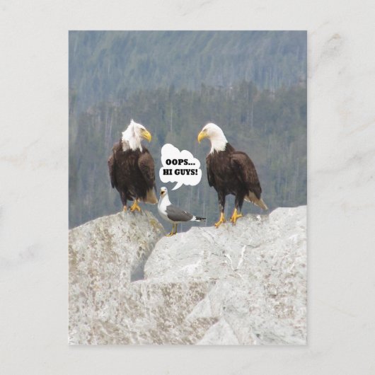 Funny Eagles en Seagull Briefkaart (Voorkant)