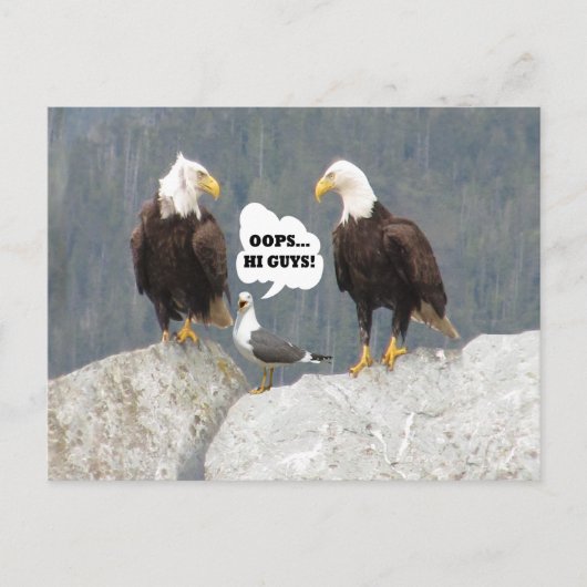 Funny Eagles en Seagull Briefkaart (Voorkant)
