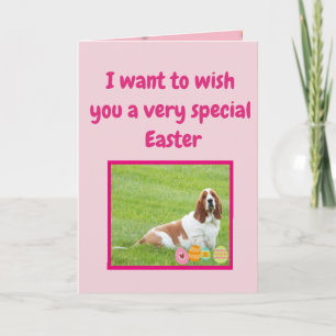 Funny Easter Cards w/Basset Hound in "Bunny Suit" Feestdagen Kaart
