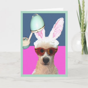 Funny Easter Poodle glamming it Up Holiday Kaart