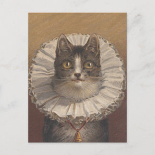 Funny Edwardian Cat Briefkaart