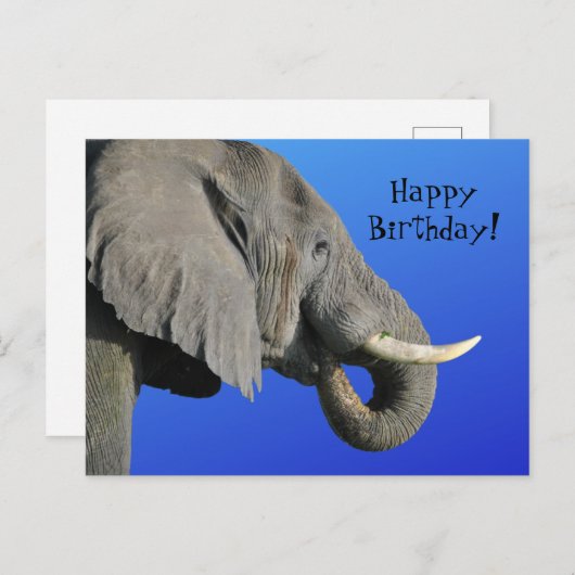 Funny Elephant Age Irrelevant Blue Happy Birthday Briefkaart (Voorkant / Achterkant)