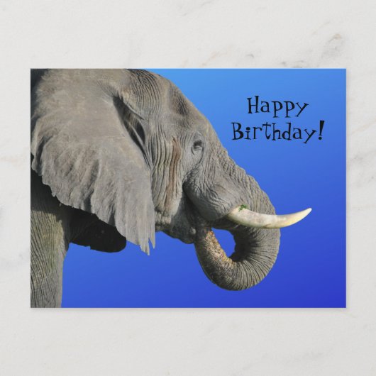 Funny Elephant Age Irrelevant Blue Happy Birthday Briefkaart (Voorkant)