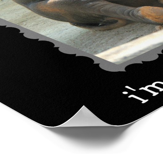 Funny Elephant Hump Day Poster (Hyph!!) (Hoek)