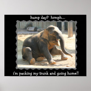 Funny Elephant Hump Day Poster (Hyph!!)