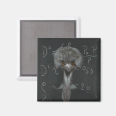 Funny Emu Einstein Magneet (Voorkant / Achterkant)