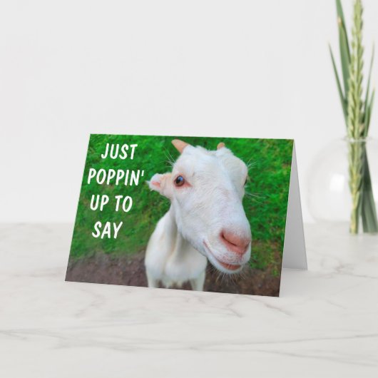 Funny Face Baby Goat krijgt het goed Kaart (Voorkant)