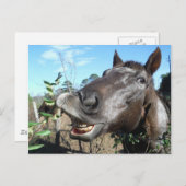 Funny Face brown paard Briefkaart (Voorkant / Achterkant)