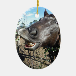 Funny Face brown paard Keramisch Ornament