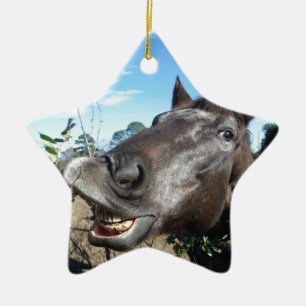 Funny Face brown paard Keramisch Ornament