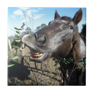 Funny Face brown paard Tegeltje