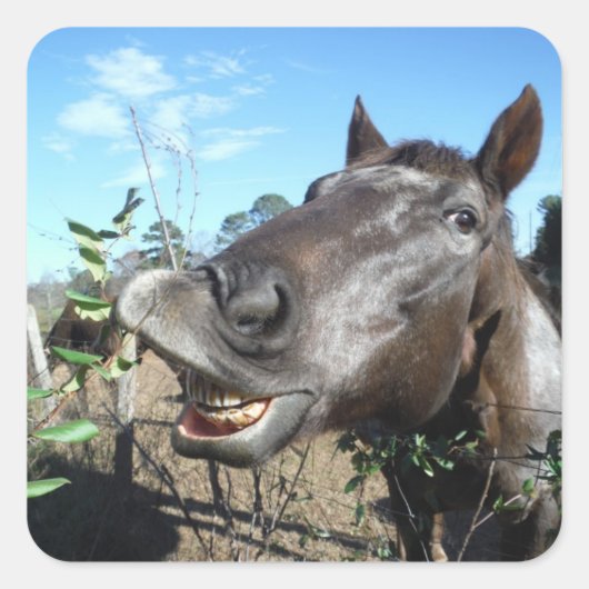 Funny Face brown paard Vierkante Sticker (Voorkant)