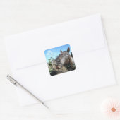 Funny Face brown paard Vierkante Sticker (Envelop)