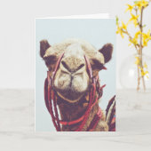 Funny Face Foto van een Sassy Cute Llama Kaart (Gele Bloem)