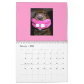 Funny Faces Calendar Kalender (Feb 2026)