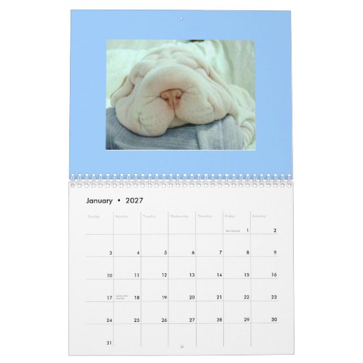 Funny Faces Calendar Kalender (Jan 2027)