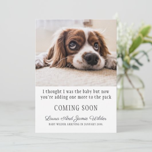 Funny Faire-part de grossesse (Debout devant)