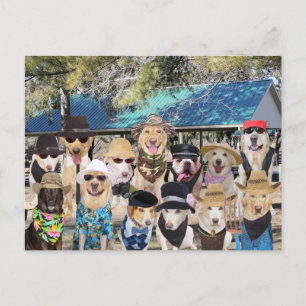 Funny Family Reunion Uitnodiging Briefkaart