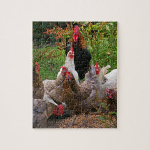 Funny Farmyard Chickens & Rooster Jigzaag Puzzle Legpuzzel