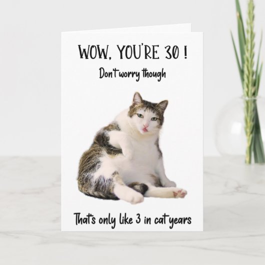 Funny Fat Chat assis Anniversaire Carte de voeux (Devant)