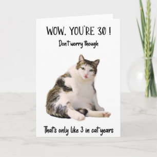 Funny Fat Chat assis Anniversaire Carte de voeux