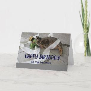 Funny Fat Chat Carte de voeux Anniversaire