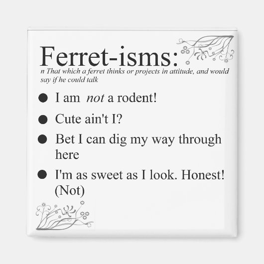 Funny Ferret Gifts Magneet (Voorkant)