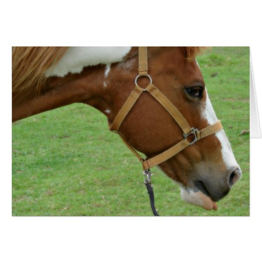 Funny Flashy Horse (Voorkant Horizontaal)