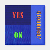 Funny Flip Magnet - Grounded Status (Devant)