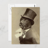 Funny  Foto van Dog in Top Hat Briefkaart (Voorkant / Achterkant)